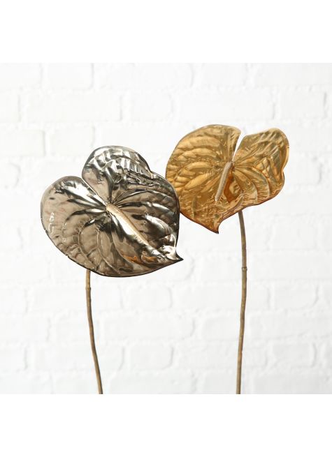 Листья Anthuria 1018474 Boltze