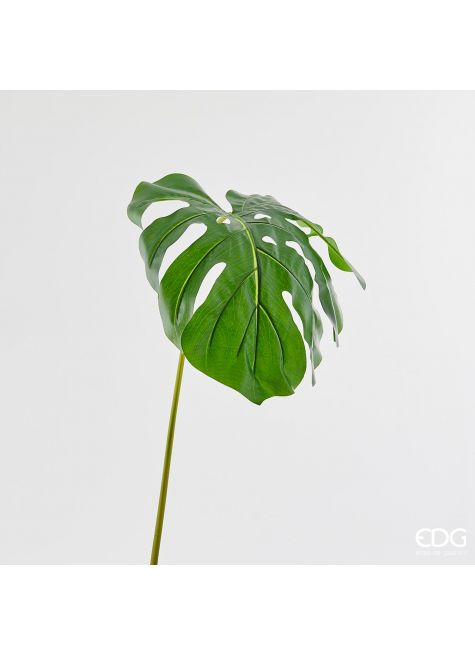 Монстера лист Ramo