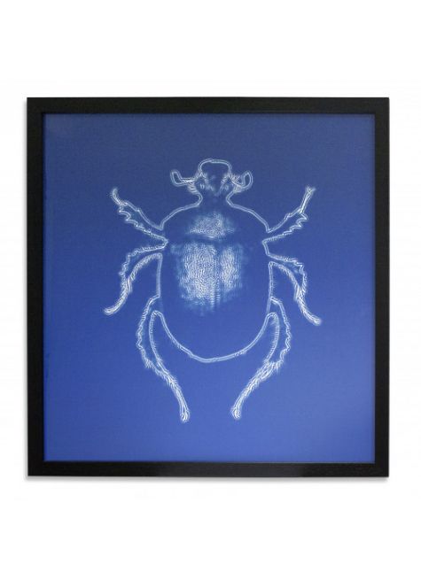 Картина Жук I EF378 Dome Deco