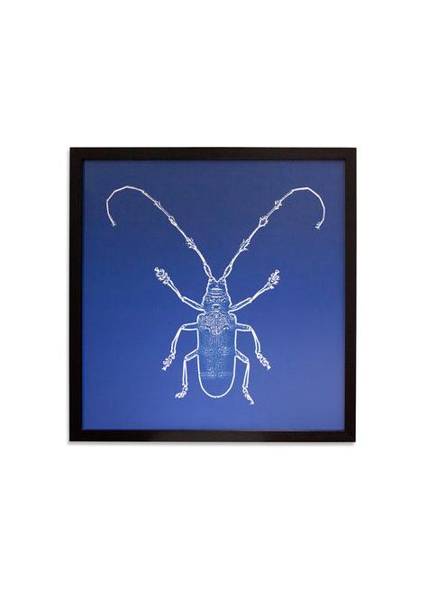 Картина Жук II EF379 Dome Deco