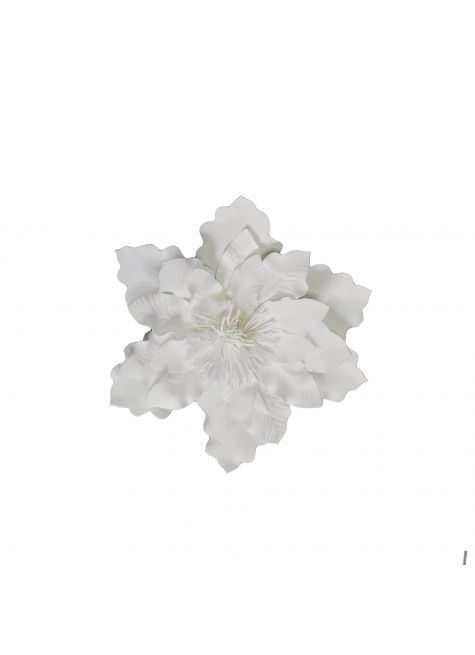 Клематис белый